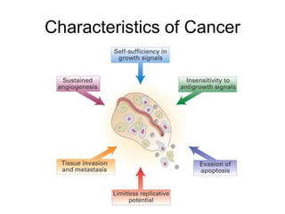 Characteristics of Cancer
 