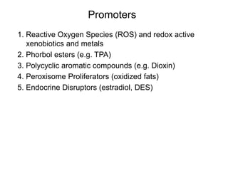 Promoters
1. Reactive Oxygen Species (ROS) and redox active
xenobiotics and metals
2. Phorbol esters (e.g. TPA)
3. Polycyclic aromatic compounds (e.g. Dioxin)
4. Peroxisome Proliferators (oxidized fats)
5. Endocrine Disruptors (estradiol, DES)
 
