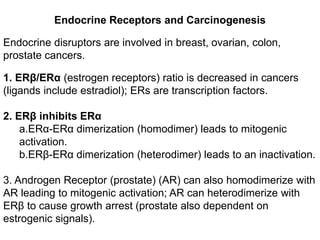 Endocrine Receptors and Carcinogenesis
Endocrine disruptors are involved in breast, ovarian, colon,
prostate cancers.
1. ERβ/ERα (estrogen receptors) ratio is decreased in cancers
(ligands include estradiol); ERs are transcription factors.
2. ERβ inhibits ERα
a.ERα-ERα dimerization (homodimer) leads to mitogenic
activation.
b.ERβ-ERα dimerization (heterodimer) leads to an inactivation.
3. Androgen Receptor (prostate) (AR) can also homodimerize with
AR leading to mitogenic activation; AR can heterodimerize with
ERβ to cause growth arrest (prostate also dependent on
estrogenic signals).
 