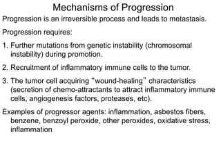 Mechanisms of Progression
Progression is an irreversible process and leads to metastasis.
Progression requires:
1. Further mutations from genetic instability (chromosomal
instability) during promotion.
2. Recruitment of inflammatory immune cells to the tumor.
3. The tumor cell acquiring “wound-healing” characteristics
(secretion of chemo-attractants to attract inflammatory immune
cells, angiogenesis factors, proteases, etc).
Examples of progressor agents: inflammation, asbestos fibers,
benzene, benzoyl peroxide, other peroxides, oxidative stress,
inflammation
 