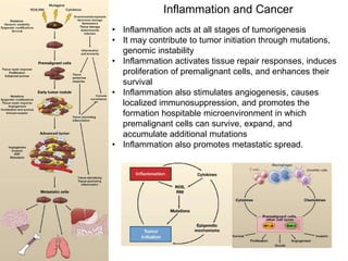 Inflammation and Cancer
• Inflammation acts at all stages of tumorigenesis
• It may contribute to tumor initiation through mutations,
genomic instability
• Inflammation activates tissue repair responses, induces
proliferation of premalignant cells, and enhances their
survival
• Inflammation also stimulates angiogenesis, causes
localized immunosuppression, and promotes the
formation hospitable microenvironment in which
premalignant cells can survive, expand, and
accumulate additional mutations
• Inflammation also promotes metastatic spread.
 