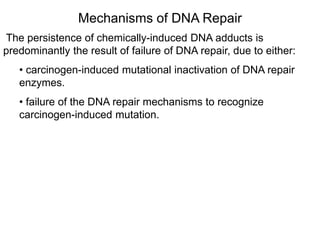 Mechanisms of DNA Repair
The persistence of chemically-induced DNA adducts is
predominantly the result of failure of DNA repair, due to either:
• carcinogen-induced mutational inactivation of DNA repair
enzymes.
• failure of the DNA repair mechanisms to recognize
carcinogen-induced mutation.
 