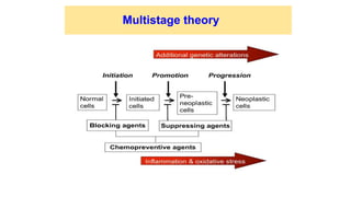 Carcinogenesis and mechanism of cancer -.pptx
