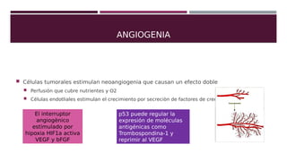 ANGIOGENIA
 Células tumorales estimulan neoangiogenia que causan un efecto doble
 Perfusiòn que cubre nutrientes y O2
 ...