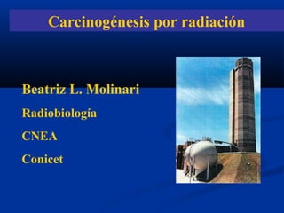 Carcinogénesis por radiación

Beatriz L. Molinari
Radiobiología
CNEA
Conicet

 