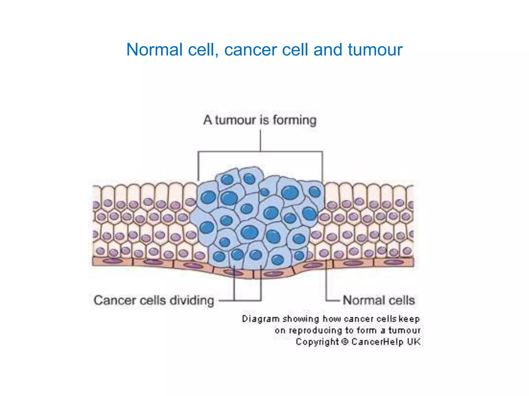 Cancer And Carcinogens Ppt