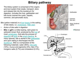 Carcinogenesis ppt.ppt
