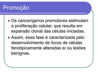 Promoção
 Os cancerígenos promotores estimulam
a proliferação celular, que resulta em
expansão clonal das células iniciadas.
 Assim, essa fase é caracterizada pelo
desenvolvimento de focos de células
fenotipicamente alteradas e/ ou lesões
benignas.
 