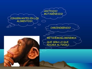 ADITIVOS?
MUTAGÉNESIS?
CONSERVANTES EN LOS
ALIMENTOS?
CARCINOGENOS?

METAHEMOGLOBINEMIA
QUE SERA LO QUE
PASARA AL FINAL?

 