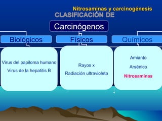 Nitrosaminas y carcinogénesis

Carcinógenos
Biológicos
Virus del papiloma humano
Virus de la hepatitis B

Físicos

Químicos
Amianto

Rayos x
Radiación ultravioleta

Arsénico
Nitrosaminas

 