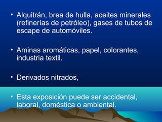 • Alquitrán, brea de hulla, aceites minerales
(refinerías de petróleo), gases de tubos de
escape de automóviles.
• Aminas aromáticas, papel, colorantes,
industria textil.
• Derivados nitrados,
• Esta exposición puede ser accidental,
laboral, doméstica o ambiental.

 