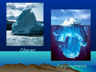 Cáncer
Carcinogénesis

 