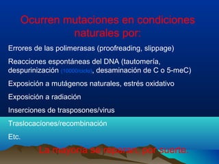 Ocurren mutaciones en condiciones
naturales por:
Errores de las polimerasas (proofreading, slippage)
Reacciones espontáneas del DNA (tautomería,
despurinización (10000/ciclo), desaminación de C o 5-meC)
Exposición a mutágenos naturales, estrés oxidativo
Exposición a radiación
Inserciones de trasposones/virus
Traslocacíones/recombinación
Etc.

La mayoría se reparan, por suerte.

 