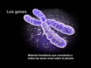 Los genes

Material hereditario que caracteriza a
todos los seres vivos sobre el planeta

 