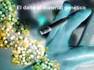 El daño al material genético

 