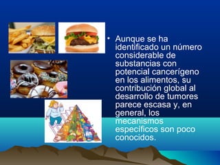 • Aunque se ha
identificado un número
considerable de
substancias con
potencial cancerígeno
en los alimentos, su
contribución global al
desarrollo de tumores
parece escasa y, en
general, los
mecanismos
específicos son poco
conocidos.

 