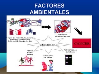 FACTORES
AMBIENTALES

 
