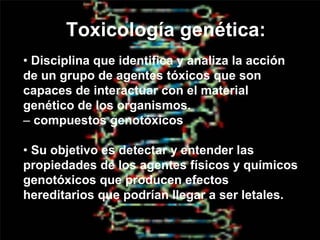 Toxicología genética:
• Disciplina que identifica y analiza la acción
de un grupo de agentes tóxicos que son
capaces de interactuar con el material
genético de los organismos.
– compuestos genotóxicos
• Su objetivo es detectar y entender las
propiedades de los agentes físicos y químicos
genotóxicos que producen efectos
hereditarios que podrían llegar a ser letales.

 
