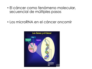 • El cáncer como fenómeno molecular,
secuencial de múltiples pasos
• Los microRNA en el cáncer oncomir
 