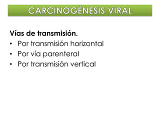 Vías de transmisión.
• Por transmisión horizontal
• Por vía parenteral
• Por transmisión vertical
 