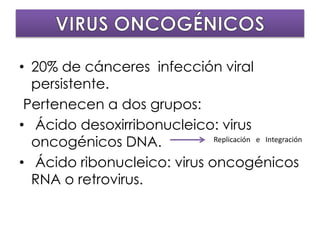 • 20% de cánceres infección viral
persistente.
Pertenecen a dos grupos:
• Ácido desoxirribonucleico: virus
oncogénicos DNA.
• Ácido ribonucleico: virus oncogénicos
RNA o retrovirus.
Replicación e Integración
 