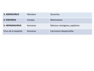 3. ADENOVIRUS Hámsters Sarcomas
4. POXVIRUS Conejos Mixomatosis
5. HEPADNAVIRUS Humanos Molusco contagioso, papiloma
Virus de la hepatitis Humanos Carcinoma Hepatocelilar
 
