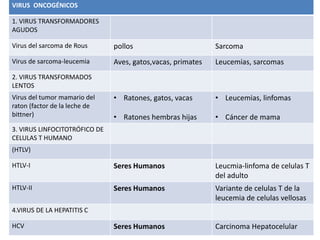 VIRUS ONCOGÉNICOS
1. VIRUS TRANSFORMADORES
AGUDOS
Virus del sarcoma de Rous pollos Sarcoma
Virus de sarcoma-leucemia Aves, gatos,vacas, primates Leucemias, sarcomas
2. VIRUS TRANSFORMADOS
LENTOS
Virus del tumor mamario del
raton (factor de la leche de
bittner)
• Ratones, gatos, vacas
• Ratones hembras hijas
• Leucemias, linfomas
• Cáncer de mama
3. VIRUS LINFOCITOTRÓFICO DE
CELULAS T HUMANO
(HTLV)
HTLV-I Seres Humanos Leucmia-linfoma de celulas T
del adulto
HTLV-II Seres Humanos Variante de celulas T de la
leucemia de celulas vellosas
4.VIRUS DE LA HEPATITIS C
HCV Seres Humanos Carcinoma Hepatocelular
 