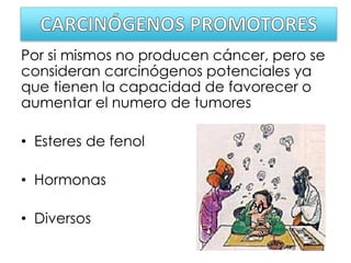 Por si mismos no producen cáncer, pero se
consideran carcinógenos potenciales ya
que tienen la capacidad de favorecer o
aumentar el numero de tumores
• Esteres de fenol
• Hormonas
• Diversos
 