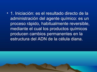• 1. Iniciación: es el resultado directo de la
administración del agente químico: es un
proceso rápido, habitualmente reversible,
mediante el cual los productos químicos
producen cambios permanentes en la
estructura del ADN de la célula diana.
 