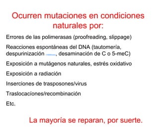 Ocurren mutaciones en condiciones
naturales por:
Errores de las polimerasas (proofreading, slippage)
Reacciones espontáneas del DNA (tautomería,
despurinización (10000/ciclo), desaminación de C o 5-meC)
Exposición a mutágenos naturales, estrés oxidativo
Exposición a radiación
Inserciones de trasposones/virus
Traslocacíones/recombinación
Etc.
La mayoría se reparan, por suerte.
 