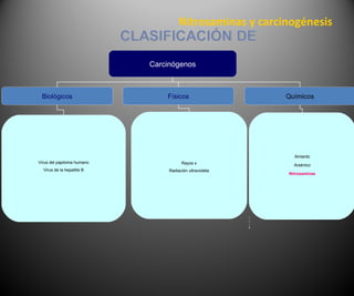 Nitrosaminas y carcinogénesis
Carcinógenos
Biológicos Físicos
Virus del papiloma humano
Virus de la hepatitis B
Rayos x
Radiación ultravioleta
Químicos
Amianto
Arsénico
Nitrosaminas
 