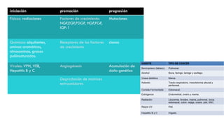 iniciación promoción progresión
Físicos: radiaciones Factores de crecimiento:
NGF,EGF,PDGF, HGF,FGF,
IGF-1
Mutaciones
Químicos: alquilantes,
aminas aromáticas,
nitrosaminas, grasas
poliinsaturadas.
Receptores de los factores
de crecimiento
clonas
Virales: VPH, VEB,
Hepatitis B y C
Angiogénesis Acumulación de
daño genético
Degradación de matrices
extracelulares
 