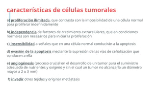 características de células tumorales
a) proliferación ilimitada, que contrasta con la imposibilidad de una célula normal
para proliferar indefinidamente
b) independencia de factores de crecimiento extracelulares, que en condiciones
normales son necesarios para iniciar la proliferación
c) insensibilidad a señales que en una célula normal conducirán a la apoptosis
d) evasión de la apoptosis mediante la supresión de las vías de señalización que
conducen a ella
e) angiogénesis (proceso crucial en el desarrollo de un tumor para el suministro
adecuado de nutrientes y oxígeno y sin el cual un tumor no alcanzaría un diámetro
mayor a 2 o 3 mm)
f) invadir otros tejidos y originar metástasis
 