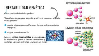 INESTABILIDAD GENÉTICA
Gran cantidad de daño genético
“las células cancerosas son más proclives a mantener el daño
en su genoma”
● puede observarse en diferentes formas en las neoplasias
malignas
● mayor tasa de mutación
tumores sólidos: inestabilidad cromosómica, que se refiere a
la tendencia a ganar o perder cromosomas y poseer un
cariotipo variable entre las células de un tumor.
 