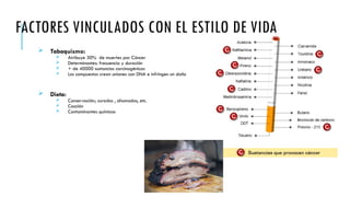 FACTORES VINCULADOS CON EL ESTILO DE VIDA
 Tabaquismo:
 Atribuye 30% de muertes por Cáncer
 Determinantes: frecuencia y duración
 + de 40000 sustancias carcinogénicas
 Los compuestos crean uniones con DNA e infringen un daño
 Dieta:
 Conservación; curados , ahumados, etc.
 Cocción
 Contaminantes químicos
 