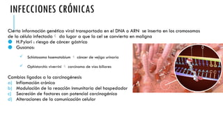 INFECCIONES CRÓNICAS
Cierta información genética viral transportada en el DNA o ARN se inserta en los cromosomas
de la célula infectada da lugar a que la cel se convierta en maligna
● H.Pylori : riesgo de cáncer gástrico
● Gusanos:
 Schistosoma haematobium  cáncer de vejiga urinaria
 Ophistorchis viverrini  carcinoma de vías biliares
Cambios ligados a la carcinogénesis
a) Inflamación crónica
b) Modulación de la reacción inmunitaria del hospedador
c) Secreción de factores con potencial carcinogénico
d) Alteraciones de la comunicación celular
 