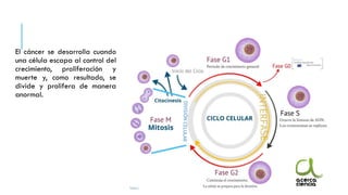 El cáncer se desarrolla cuando
una célula escapa al control del
crecimiento, proliferación y
muerte y, como resultado, se
divide y prolifera de manera
anormal.
 