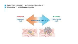 ● Inducción o expresión  factores proangiogénicos
● Disminución  inhibidores endógenos
 