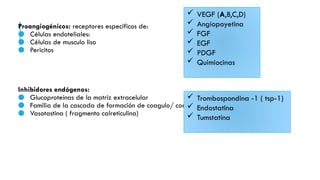 Proangiogénicos: receptores específicos de:
● Células endoteliales:
● Células de musculo liso
● Pericitos
Inhibidores endógenos:
● Glucoproteínas de la matriz extracelular
● Familia de la cascada de formación de coagulo/ coagulación  angiotastina
● Vasotastina ( fragmento calreticulina)
 VEGF (A,B,C,D)
 Angiopoyetina
 FGF
 EGF
 PDGF
 Quimiocinas
 Trombospondina -1 ( tsp-1)
 Endostatina
 Tumstatina
 