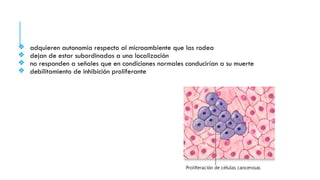❖ adquieren autonomía respecto al microambiente que las rodea
❖ dejan de estar subordinadas a una localización
❖ no responden a señales que en condiciones normales conducirían a su muerte
❖ debilitamiento de inhibición proliferante
 