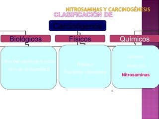 SITIO DE ACCIÓN

Carcinógenos
Genotóxicos

Daños sobre el DNA y/o
cromosomas
(SON MUTAGENICOS)

No genotóxicos
(epigenétic...