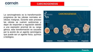 CARCINOGENESIS
La carcinogénesis es la transformación
progresiva de las células normales en
células malignas. Durante este proceso
las células se vuelven autónomas y
dejan de responder a regulación debido
a una expresión anormal de su carga
génica, esta transformación es causada
por la acción de un agente carcinógeno
que puede ser un agente físico, químico
o biológico.
 