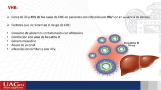 VHB:
 Cerca de 30 a 40% de los casos de CHC en pacientes con infección por HBV son en ausencia de cirrosis.
 Factores que incrementan el riesgo de CHC:
• Consumo de alimentos contaminados con Aflatoxina
• Coinfección con virus de hepatitis D
• Género masculino
• Abuso de alcohol
• infección concomitante con HCV.
 