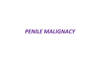 PENILE MALIGNACY
 