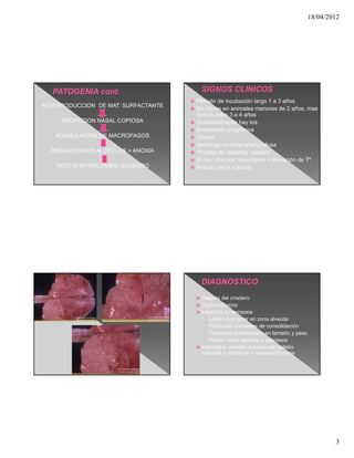 18/04/2012




                                       Periodo de incubación largo 1 a 3 años
ALTA PRODUCCION DE MAT. SURFACTANTE
                                       No ocurre en animales menores de 2 años, mas
                                        común entre 3 a 4 años
     SECRECION NASAL COPIOSA           Ocasionalmente hay tos
                                       Emaciación progresiva
   ACUMULACION DE MACROFAGOS           Disnea
                                       Descarga acuosa nasal profusa
  REDUCCION DE ALVEOLOS = ANOXIA       “Prueba de carretilla” positivo
                                       Si hay infección secundaria = elevación de Tº
    AFECTA INTERCAMBIO GASEOSO         Retraso en la marcha




                                             Historia del criadero
                                             Signos clínicos
                                             Lesiones a necropsia:
                                              * Lesión pulmonar en zona alveolar
                                              * Pulmones con áreas de consolidación
                                              * Pulmones aumentados en tamaño y peso
                                              * Puede haber pleuritis o abscesos
                                             Histología: alveolo cubierto por epitelio
                                              cuboidal y columnar = adenocarcinoma




                                                                                                  3
 