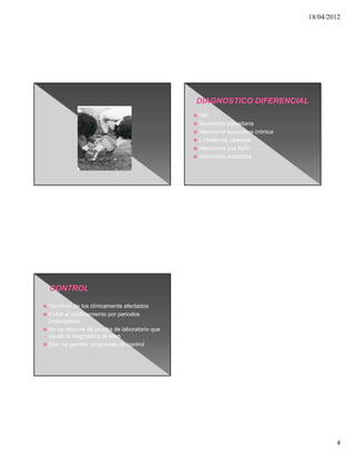 18/04/2012




                                                NIP
                                                Neumonía parasitaria
                                                Neumonía supurativa crónica
                                                Linfadenitis caseosa
                                                Neumonía pos baño
                                                Neumonía enzootica




 Sacrificio de los clínicamente afectados
 Evitar el confinamiento por periodos
  prolongados
 No se dispone de prueba de laboratorio que
  ayude al diagnostico in vivo
 Esto no permite programas de control




                                                                                       4
 