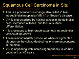 Squamous Cell Carcinoma in Situ This is a  precancerous change also called Vulva l  intraepithelial neoplasia (VIN  III )  or  Bowen ’s  disease. VIN is characterized by nuclear atypia in the epithelial cells, increased mitoses, and lack of surface differentiation.  It is analogous to high-grade squamous intraepithelial lesions of the cervix  . These lesions usually present as white or pigmented plaques on the vulva; identical lesions are encountered in the male.  VIN is appearing with increasing frequency in women younger than 40 years.  