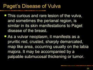 Paget ’ s Disease of Vulva This curious and rare lesion of the vulva, and sometimes the perianal region, is similar in its skin manifestations to Paget disease of the breast.  As a vulvar neoplasm, it manifests as a pruritic red, crusted, sharply demarcated, map like area, occurring usually on the labia majora. It may be accompanied by a palpable submucosal thickening or tumor. 