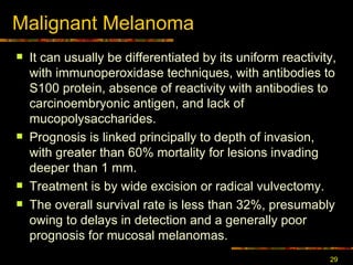 Malignant Melanoma It can usually be differentiated by its uniform reactivity, with immunoperoxidase techniques, with antibodies to S100 protein, absence of reactivity with antibodies to carcinoembryonic antigen, and lack of mucopolysaccharides. Prognosis is linked principally to depth of invasion, with greater than 60% mortality for lesions invading deeper than 1 mm.  Treatment is by wide excision or radical vulvectomy. The overall survival rate is less than 32%, presumably owing to delays in detection and a generally poor prognosis for mucosal melanomas.  