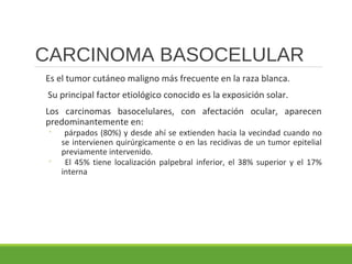 CARCINOMA BASOCELULAR
Es el tumor cutáneo maligno más frecuente en la raza blanca.
Su principal factor etiológico conocido es la exposición solar.
Los carcinomas basocelulares, con afectación ocular, aparecen
predominantemente en:
◦ párpados (80%) y desde ahí se extienden hacia la vecindad cuando no
se intervienen quirúrgicamente o en las recidivas de un tumor epitelial
previamente intervenido.
◦ El 45% tiene localización palpebral inferior, el 38% superior y el 17%
interna
 